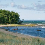 Таллинцы смогут бесплатно ездить на остров Аэгна