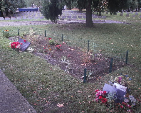 могила на военном кладбище